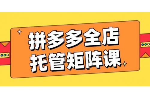 (2.28)拼多多全店托管矩阵课，盈利动销玩法，高效计划设置，提升店铺效益