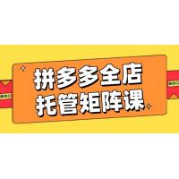 (2.28)拼多多全店托管矩阵课，盈利动销玩法，高效计划设置，提升店铺效益