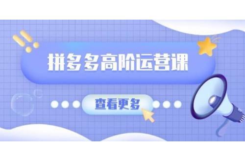(2.28)拼多多高阶运营课：极致群爆款玩法，轻付费无尽复制，打造单品爆款之路