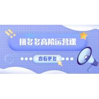 (2.28)拼多多高阶运营课：极致群爆款玩法，轻付费无尽复制，打造单品爆款之路