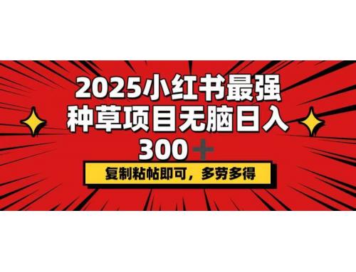 (3.3)2025小红书最强种草项目，无脑日入300+，复制粘帖即可，多劳多得