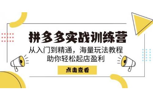 (3.4)拼多多实战训练营，从入门到精通，海量玩法教程，助你轻松起店盈利
