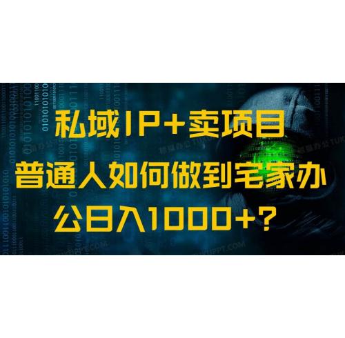 (3.5)私域IP+卖项目，普通人如何做到宅家办公实现日入1000+