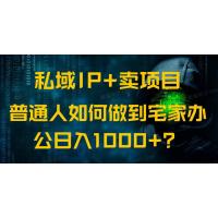 (3.5)私域IP+卖项目，普通人如何做到宅家办公实现日入1000+