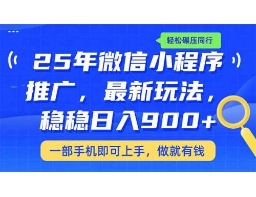 (3.6)25年最新小程序推广教学，稳定日入900+，轻松碾压同行
