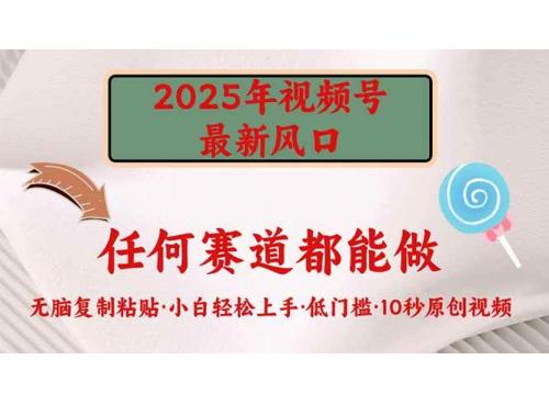 (3.9)2025年视频号新风口，低门槛只需要无脑执行