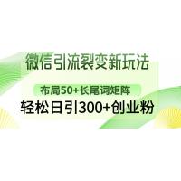 (3.9)微信引流裂变新玩法：布局50+长尾词矩阵，轻松日引300+创业粉