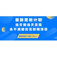 (3.12)最新男粉计划6.0玩法，永不凋谢的互联网项目 当天做当天变现，视频包原