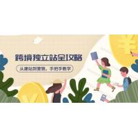 (3.14)跨境独立站全攻略，从建站到营销，手把手教学，资源全推荐！