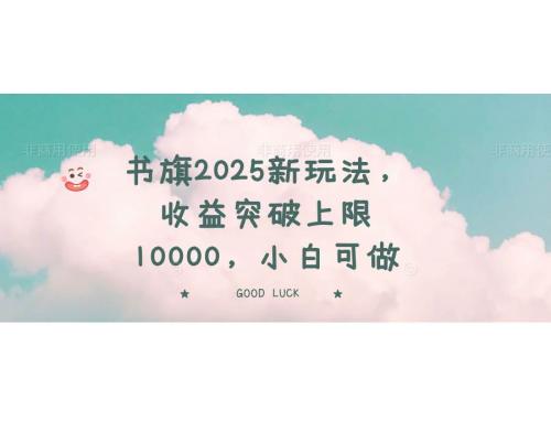 (3.15)书旗2025新玩法，收益突破上限10000，小白可做