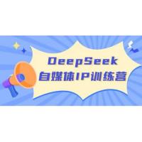 (3.16)Deep seek 一键免费生成小红书图文日引300+创业粉，日变现3000+教程！
