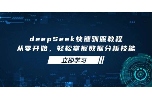 (3.17)deepSeek快速驯服教程，从零开始，轻松掌握数据分析技能