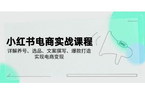 (3.18)小红书电商实战课程，详解养号、选品、文案撰写、爆款打造，实现电商变现