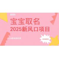 (3.22)2025新风口项目宝宝取名，0成本高利润，附保姆级教程，月入过万不是梦