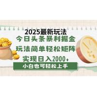 (3.24)今日头条2025最新玩法，思路简单，复制粘贴，轻松实现矩阵日入2000+