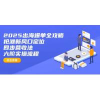 (3.25)2025出海爆单全攻略：抢滩新风口定位+四步营收法+六阶实操流程