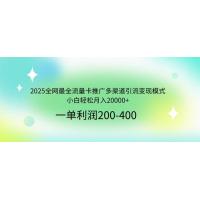 (3.25)2025全网最全流量卡推广多渠道引流变现模式，小白轻松月入20000+
