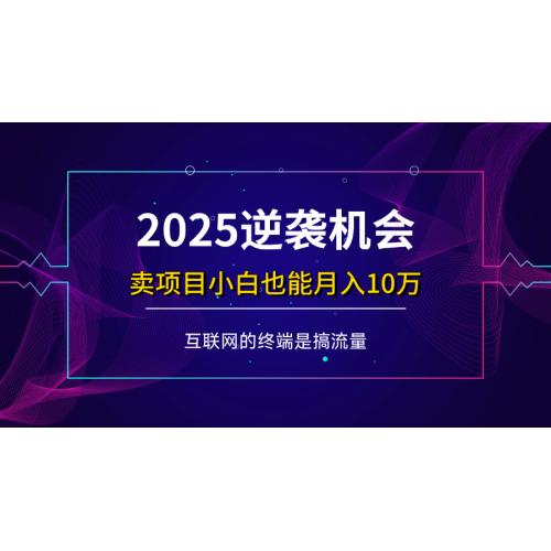 (3.25)项目标题：2025逆袭机会，卖项目小白也能轻松月入10万+