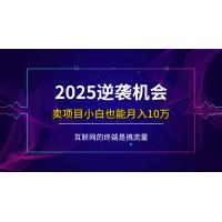 (3.25)项目标题：2025逆袭机会，卖项目小白也能轻松月入10万+
