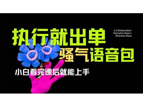 (3.29)爆火全网的开车导航骚气语音包,只要执行就出单，小白看完课程就能实操