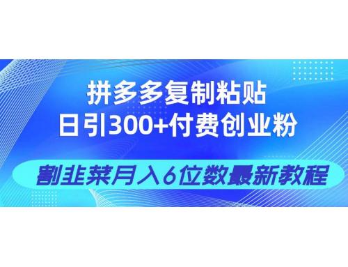 (4.4)拼多多复制粘贴日引300+付费创业粉，割韭菜月入6位数最新教程！