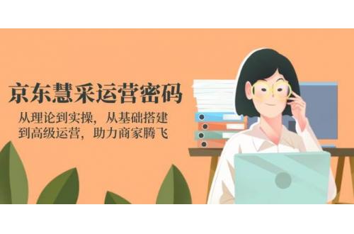 (4.6)京东慧采运营密码：从理论到实操，从基础搭建到高级运营，助力商家腾飞