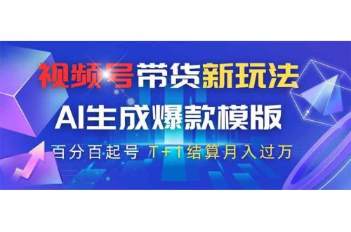 (4.9)视频号带货新玩法，AI生成，百分百原创爆款模版 百分百起号，高佣商品T