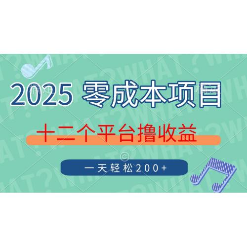 (4.10)2025年零成本项目，十二个平台撸收益，单号一天轻松200+