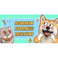 (4.13)宠物赛道短视频运营全攻略，选品拍摄剪辑实操，实现流量到收益转化