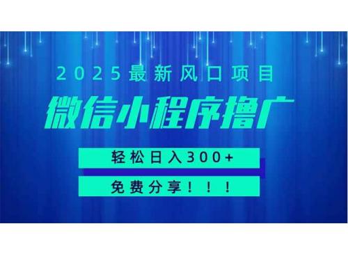 (4.15)微信小程序撸广，最新风口项目，日入300+ 免费分享 可批量操作 小白可