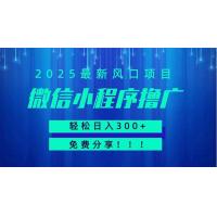 (4.15)微信小程序撸广，最新风口项目，日入300+ 免费分享 可批量操作 小白可