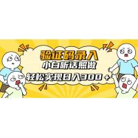 (4.18)信息录入项目，10秒一单，新手小白听话照做快速上手，实现日入300＋