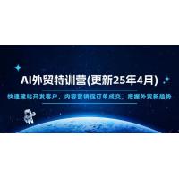 (4.22)AI外贸特训营(更新25年4月)，快速建站开发客户，内容营销促订单成交