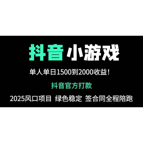 (4.26)抖音官方小游戏2025全网最新玩法，暴利赚钱项目，单机日入2000+