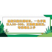 (4.28)最新实操红利项目，一台手机日入50-500，无限批量玩法，零基础易上手