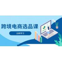 (4.28)跨境电商选品课：涵盖电动滑板车、健康医疗、电子游戏、厨房用品、宠物等