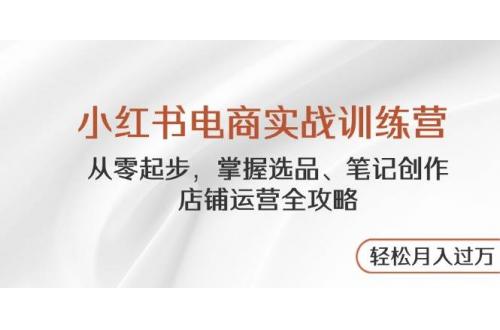 (4.29)小红书电商实战训练营，从零起步，掌握选品、笔记创作、店铺运营全攻略