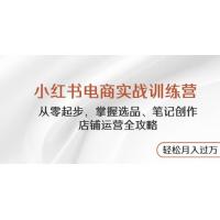 (4.29)小红书电商实战训练营，从零起步，掌握选品、笔记创作、店铺运营全攻略