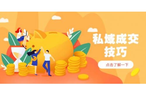 (4.30)私域成交技巧，帮你从入门到精通，破解四大痛点，快速变现，轻松收钱