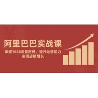 (5.22)阿里巴巴实战课：掌握1688流量密码，提升运营能力，实现店铺增长