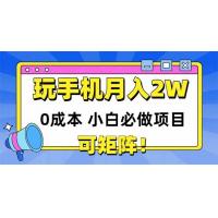(5.27)玩玩手机月入20000+，0成本小白必做项目，可矩阵