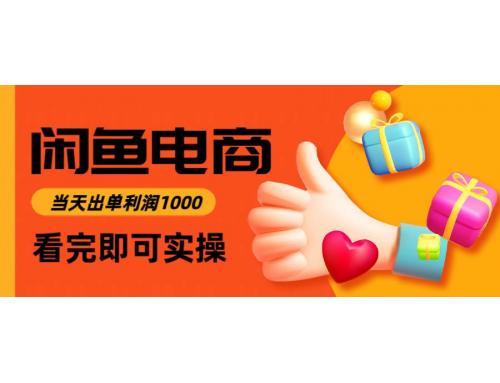 (5.28)咸鱼高利润电商，入门到出单只需3小时，每天利润1000