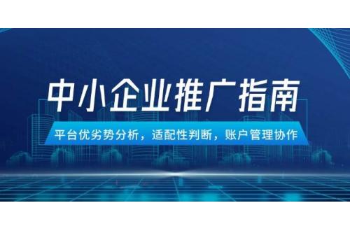 (5.30)中小企业竞价推广指南，平台优劣势分析，适配性判断，账户管理协作