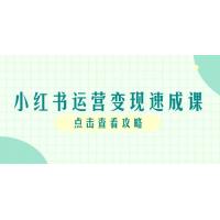 (6.2)小红书运营变现速成课，账号搭建到暴力起号，个人IP全流程指南