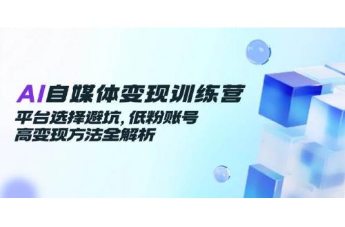(6.5)AI自媒体变现训练营，平台选择避坑，低粉账号高变现方法全解析