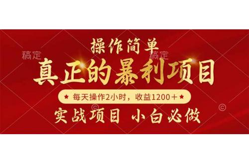 (6.6)真正的暴利项目，操作简单，每天收益1200＋，自己做老板